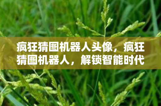 疯狂猜图机器人头像，疯狂猜图机器人，解锁智能时代的娱乐新风尚