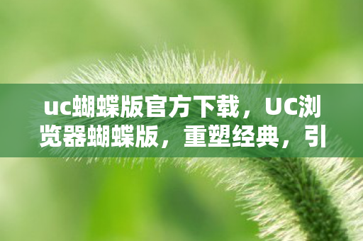 uc蝴蝶版官方下载，UC浏览器蝴蝶版，重塑经典，引领移动时代新风尚
