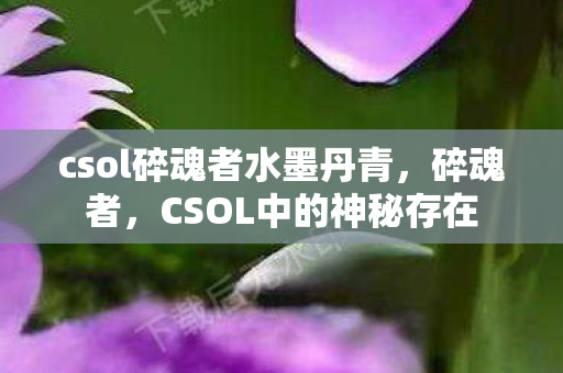 csol碎魂者水墨丹青,碎魂者,CSOL中的神秘存在 csol碎魂者水墨丹青,碎魂者,CSOL中的神秘存在