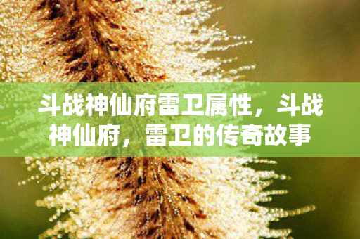 斗战神仙府雷卫属性,斗战神仙府,雷卫的传奇故事 斗战神仙府雷卫属性,斗战神仙府,雷卫的传奇故事