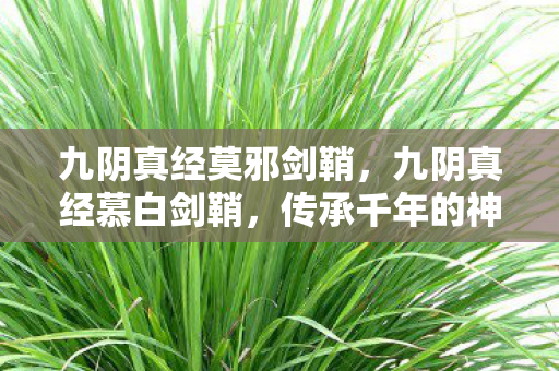 九阴真经莫邪剑鞘，九阴真经慕白剑鞘，传承千年的神秘剑鞘