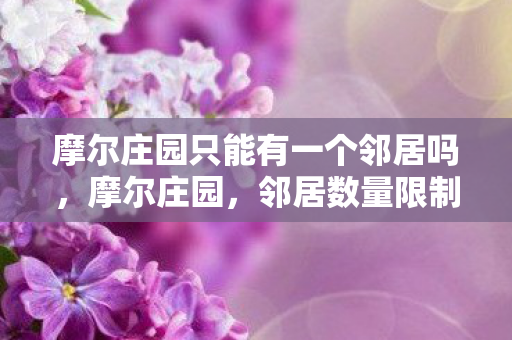 摩尔庄园只能有一个邻居吗，摩尔庄园，邻居数量限制与社区互动新探索