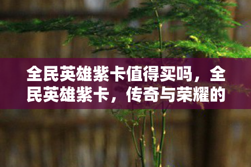 全民英雄紫卡值得买吗，全民英雄紫卡，传奇与荣耀的化身