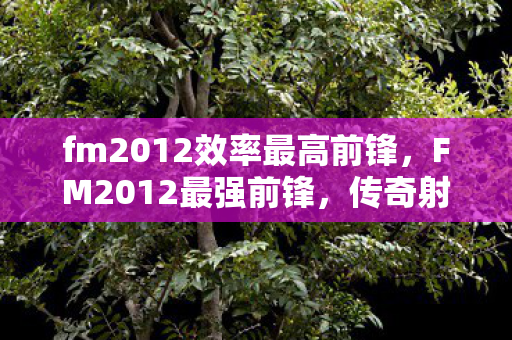 fm2012效率最高前锋，FM2012最强前锋，传奇射手的辉煌与荣耀