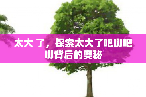 太大 了，探索太大了吧唧吧唧背后的奥秘