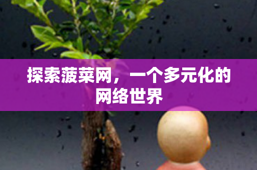 探索菠菜网，一个多元化的网络世界