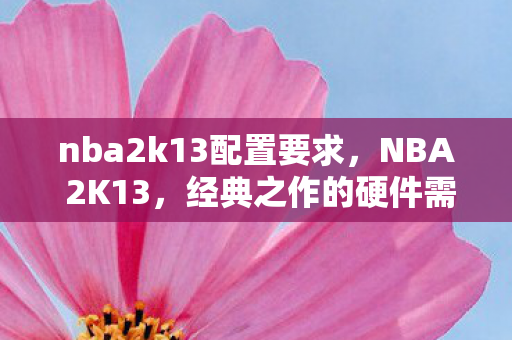 nba2k13配置要求，NBA 2K13，经典之作的硬件需求解析