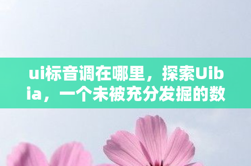 ui标音调在哪里，探索Uibia，一个未被充分发掘的数字宝藏