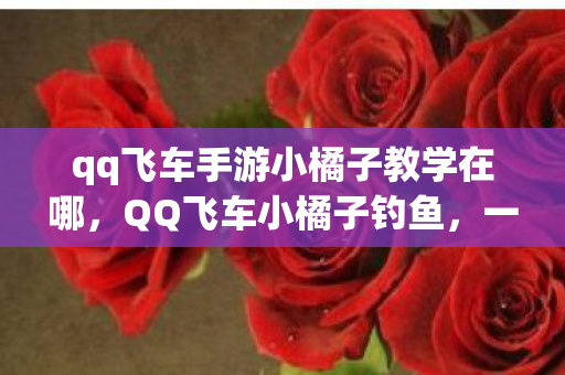 qq飞车手游小橘子教学在哪，QQ飞车小橘子钓鱼，一场虚拟与现实的奇妙邂逅
