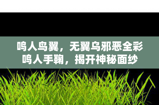 鸣人鸟翼，无翼乌邪恶全彩鸣人手鞠，揭开神秘面纱