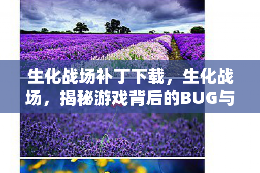 生化战场补丁下载，生化战场，揭秘游戏背后的BUG与修复之路