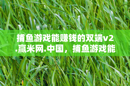 捕鱼游戏能赚钱的双端v2.赢米网.中国，捕鱼游戏能赚钱？揭秘背后的真相与策略