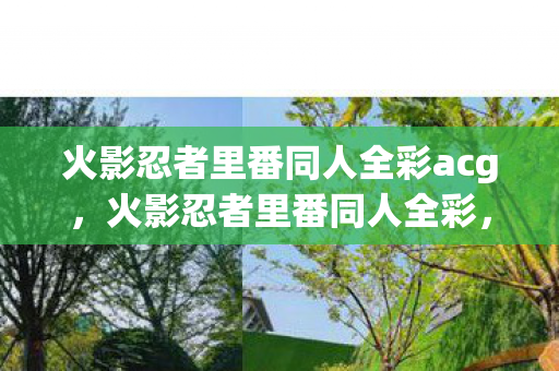 火影忍者里番同人全彩acg，火影忍者里番同人全彩，探索禁忌之境的创意与风险