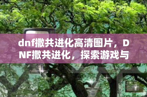 dnf撒共进化高清图片，DNF撒共进化，探索游戏与社区共生的奇妙旅程
