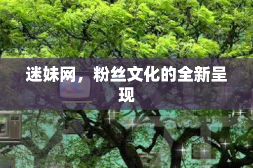 迷妹网，粉丝文化的全新呈现