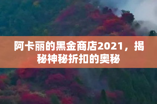 阿卡丽的黑金商店2021，揭秘神秘折扣的奥秘