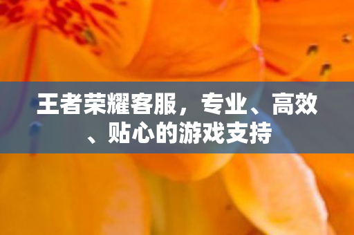 王者荣耀客服，专业、高效、贴心的游戏支持