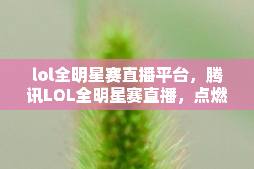 lol全明星赛直播平台，腾讯LOL全明星赛直播，点燃电竞激情的盛宴