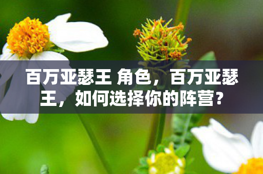 百万亚瑟王 角色，百万亚瑟王，如何选择你的阵营？