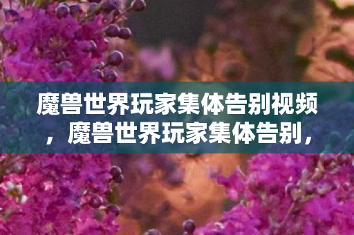 魔兽世界玩家集体告别视频，魔兽世界玩家集体告别，一段传奇的落幕