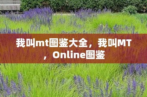 我叫mt图鉴大全，我叫MT，Online图鉴