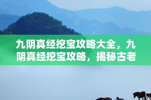 九阴真经挖宝攻略大全，九阴真经挖宝攻略，揭秘古老宝藏的寻宝之旅