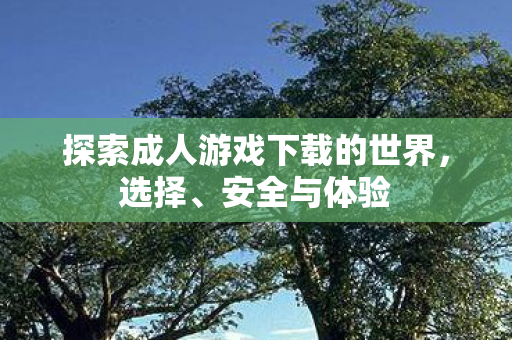 探索成人游戏下载的世界，选择、安全与体验