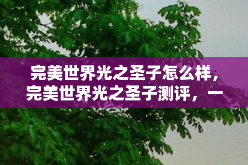 完美世界光之圣子怎么样，完美世界光之圣子测评，一场视觉与心灵的双重盛宴