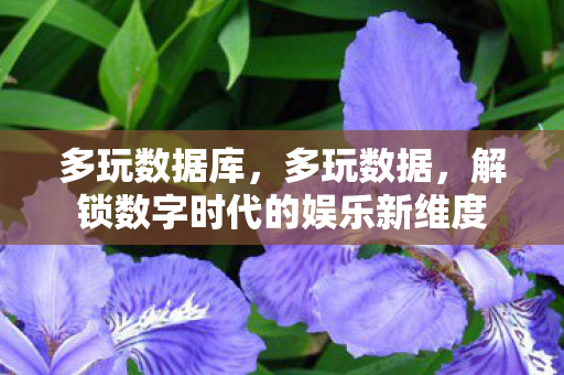 多玩数据库，多玩数据，解锁数字时代的娱乐新维度