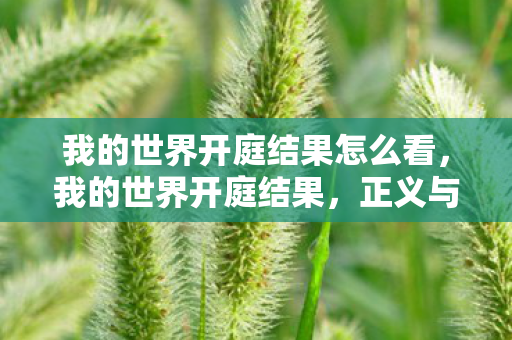 我的世界开庭结果怎么看，我的世界开庭结果，正义与创意的较量