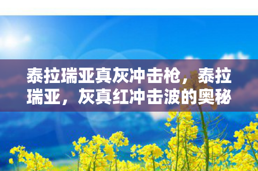 泰拉瑞亚真灰冲击枪，泰拉瑞亚，灰真红冲击波的奥秘