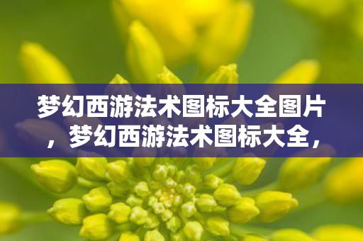 梦幻西游法术图标大全图片，梦幻西游法术图标大全，解锁你的魔法世界