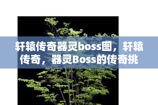 轩辕传奇器灵boss图，轩辕传奇，器灵Boss的传奇挑战