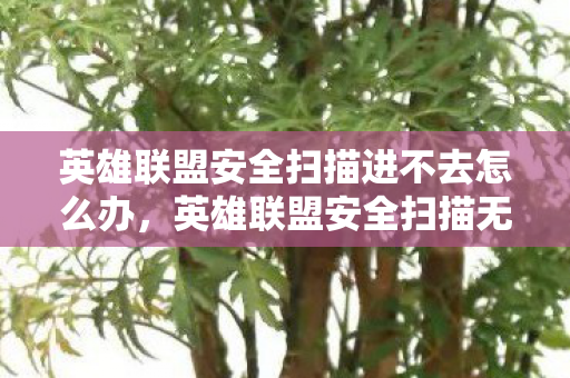 英雄联盟安全扫描进不去怎么办，英雄联盟安全扫描无法进入的解决方法