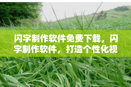 闪字制作软件免费下载，闪字制作软件，打造个性化视觉效果的必备工具