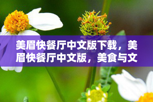 美眉快餐厅中文版下载，美眉快餐厅中文版，美食与文化的完美融合
