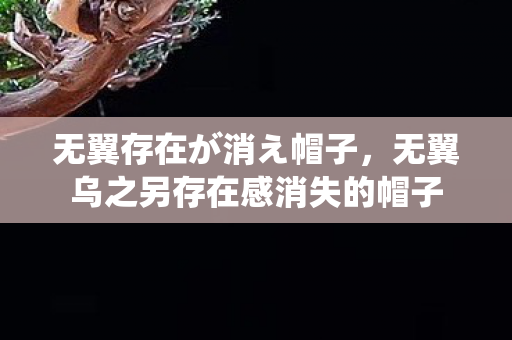 无翼存在が消え帽子，无翼乌之另存在感消失的帽子