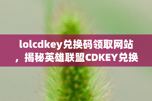 lolcdkey兑换码领取网站，揭秘英雄联盟CDKEY兑换，解锁游戏世界的神秘钥匙