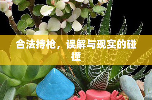 合法持枪，误解与现实的碰撞