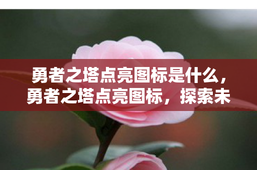 勇者之塔点亮图标是什么，勇者之塔点亮图标，探索未知，挑战自我