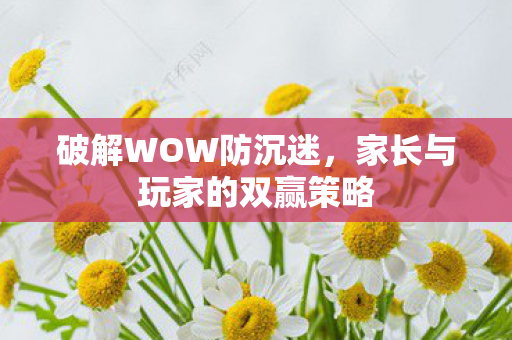 破解WOW防沉迷，家长与玩家的双赢策略