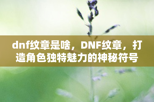 dnf纹章是啥，DNF纹章，打造角色独特魅力的神秘符号