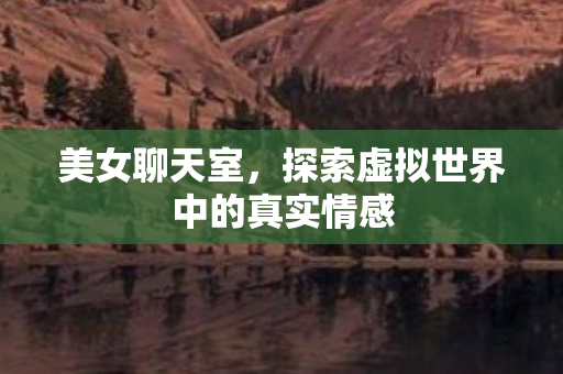 美女聊天室，探索虚拟世界中的真实情感