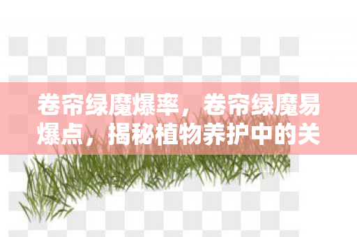 卷帘绿魔爆率，卷帘绿魔易爆点，揭秘植物养护中的关键要素