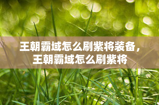 王朝霸域怎么刷紫将装备，王朝霸域怎么刷紫将