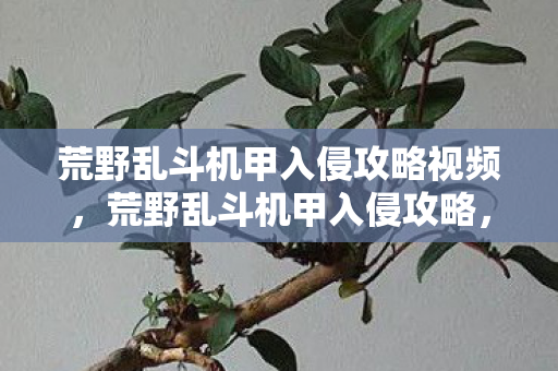 荒野乱斗机甲入侵攻略视频，荒野乱斗机甲入侵攻略，成为终极战士的秘诀