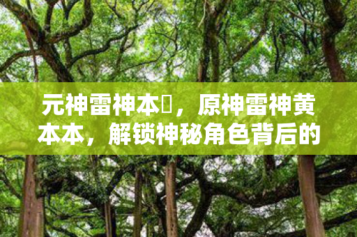 元神雷神本孒，原神雷神黄本本，解锁神秘角色背后的故事