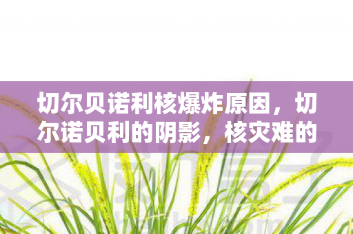 切尔贝诺利核爆炸原因，切尔诺贝利的阴影，核灾难的警示与反思