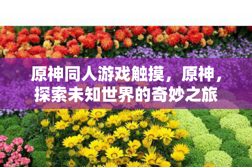 原神同人游戏触摸，原神，探索未知世界的奇妙之旅