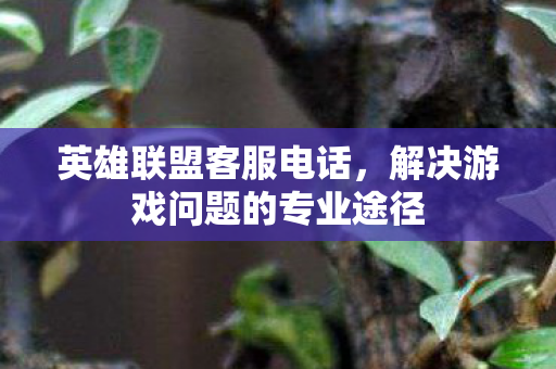 英雄联盟客服电话，解决游戏问题的专业途径